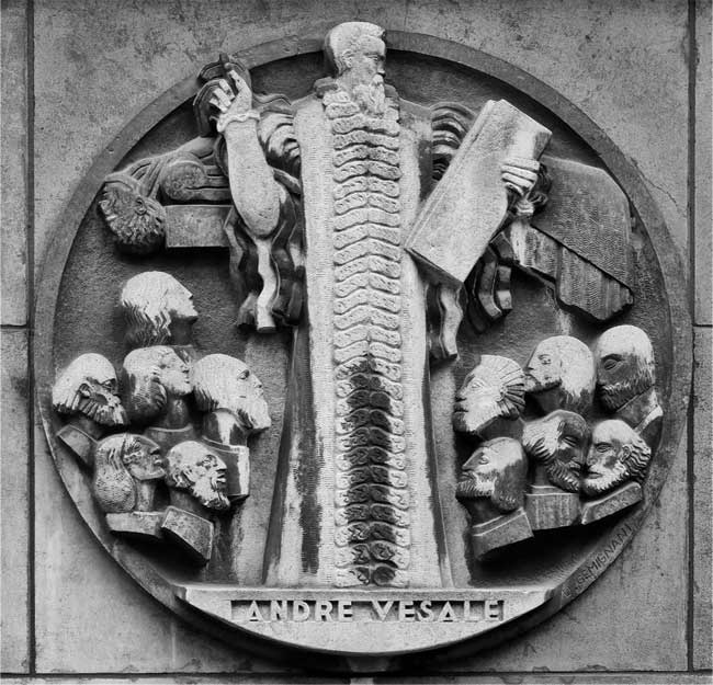 Иллюстрация к книге — Врачи. Восхитительные и трагичные истории о том, как низменные страсти, меркантильные помыслы и абсурдные решения великих светил медицины помогли выжить человечеству [i_005.jpg]