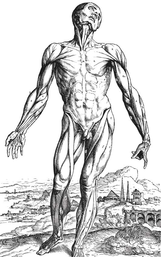 Иллюстрация к книге — Врачи. Восхитительные и трагичные истории о том, как низменные страсти, меркантильные помыслы и абсурдные решения великих светил медицины помогли выжить человечеству [i_006.jpg]