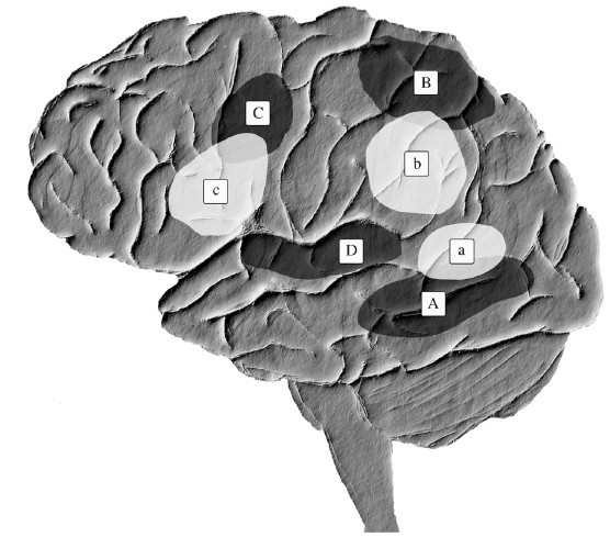 Иллюстрация к книге — Креативный мозг. Как рождаются идеи, меняющие мир [i_003.jpg]