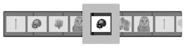 Иллюстрация к книге — Креативный мозг. Как рождаются идеи, меняющие мир [i_007.jpg]