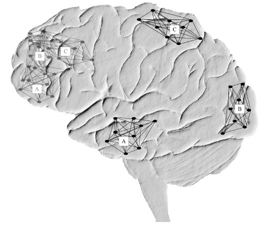 Иллюстрация к книге — Креативный мозг. Как рождаются идеи, меняющие мир [i_008.jpg]