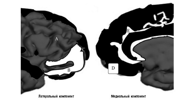 Иллюстрация к книге — Креативный мозг. Как рождаются идеи, меняющие мир [i_010.jpg]