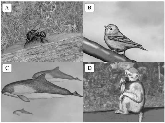 Иллюстрация к книге — Креативный мозг. Как рождаются идеи, меняющие мир [i_023.jpg]