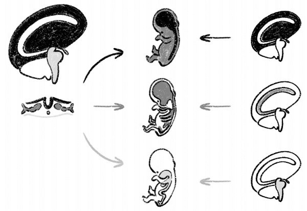 Иллюстрация к книге — Психосоматика на пальцах. Не верить, а проверить! [i_027.jpg]