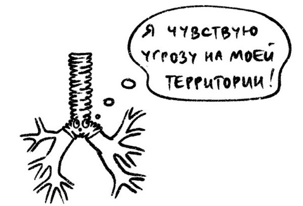 Иллюстрация к книге — Психосоматика на пальцах. Не верить, а проверить! [i_034.jpg]