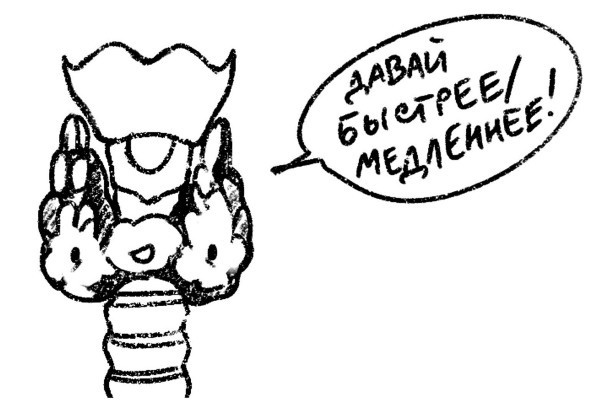 Иллюстрация к книге — Психосоматика на пальцах. Не верить, а проверить! [i_059.jpg]