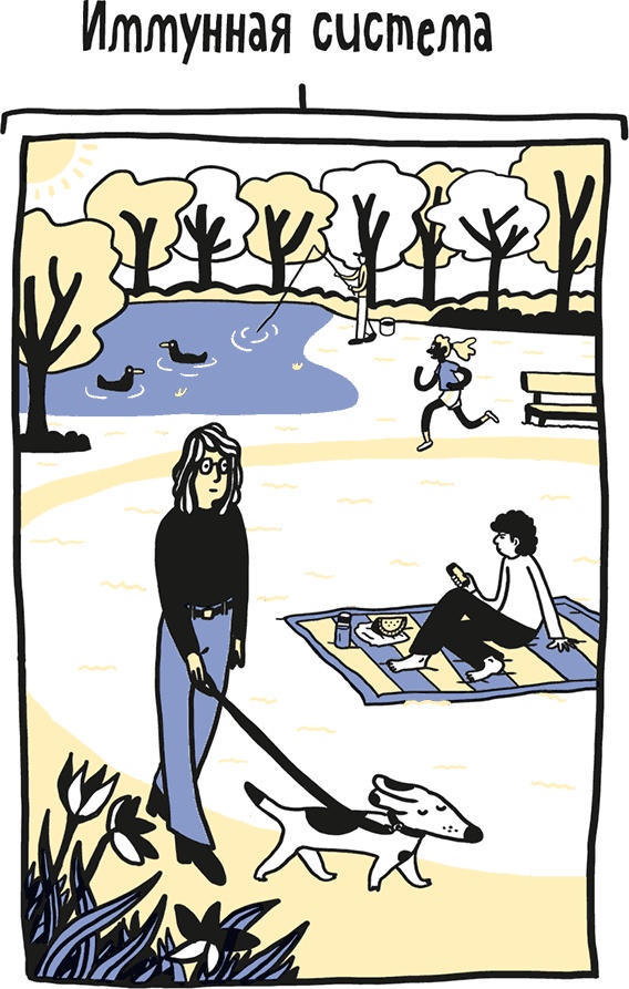 Иллюстрация к книге — Если бы наши тела могли говорить. Руководство по эксплуатации и обслуживанию человеческого тела [i_015.jpg]