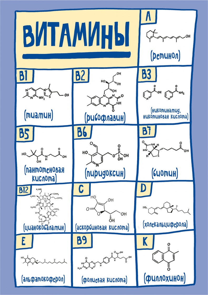 Иллюстрация к книге — Если бы наши тела могли говорить. Руководство по эксплуатации и обслуживанию человеческого тела [i_025.jpg]