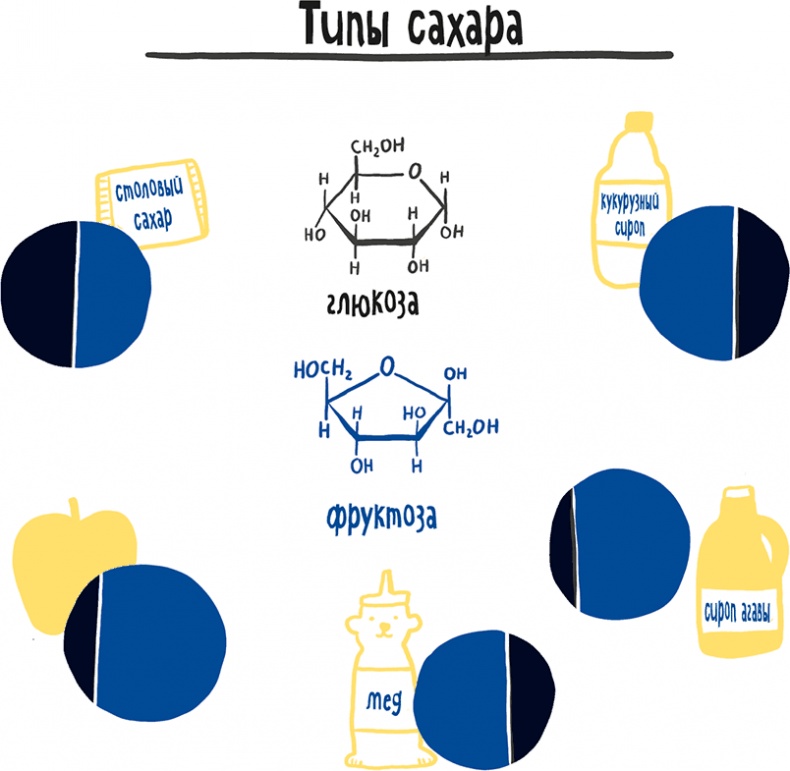 Иллюстрация к книге — Если бы наши тела могли говорить. Руководство по эксплуатации и обслуживанию человеческого тела [i_030.jpg]