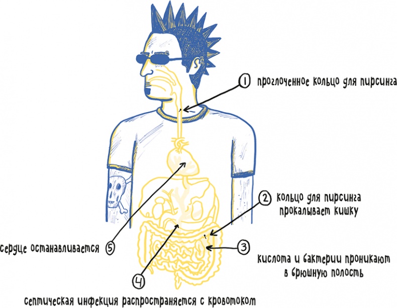 Иллюстрация к книге — Если бы наши тела могли говорить. Руководство по эксплуатации и обслуживанию человеческого тела [i_031.jpg]