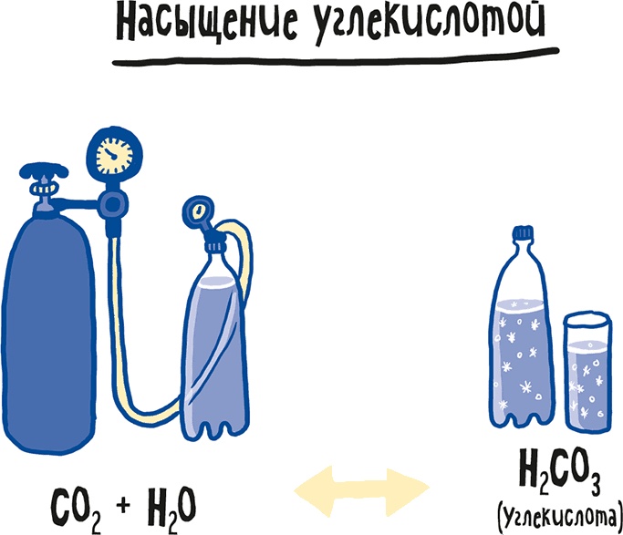 Иллюстрация к книге — Если бы наши тела могли говорить. Руководство по эксплуатации и обслуживанию человеческого тела [i_037.jpg]