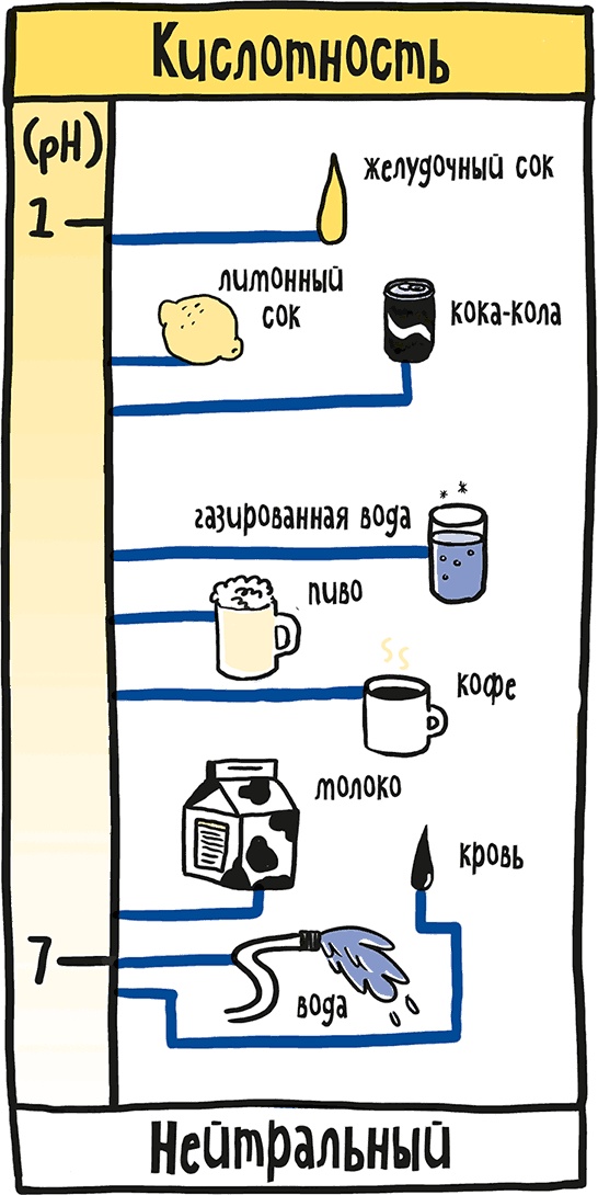 Иллюстрация к книге — Если бы наши тела могли говорить. Руководство по эксплуатации и обслуживанию человеческого тела [i_038.jpg]