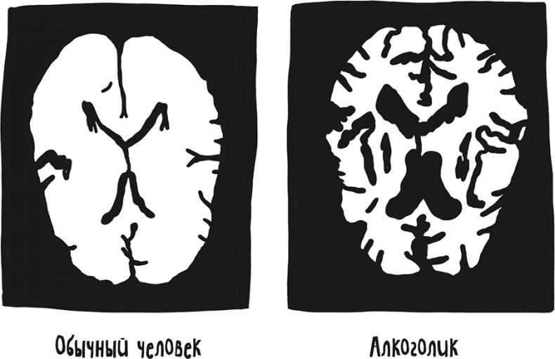 Иллюстрация к книге — Если бы наши тела могли говорить. Руководство по эксплуатации и обслуживанию человеческого тела [i_040.jpg]