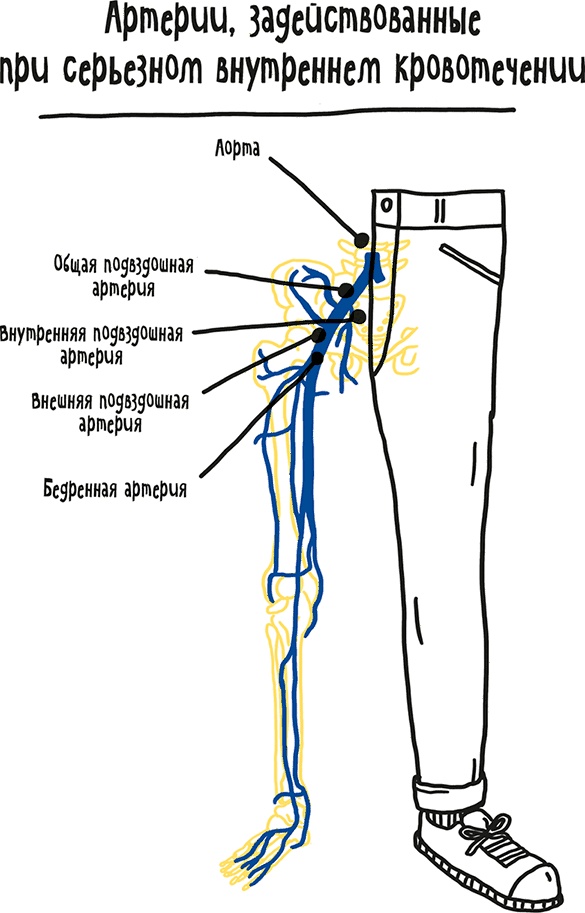 Иллюстрация к книге — Если бы наши тела могли говорить. Руководство по эксплуатации и обслуживанию человеческого тела [i_044.jpg]