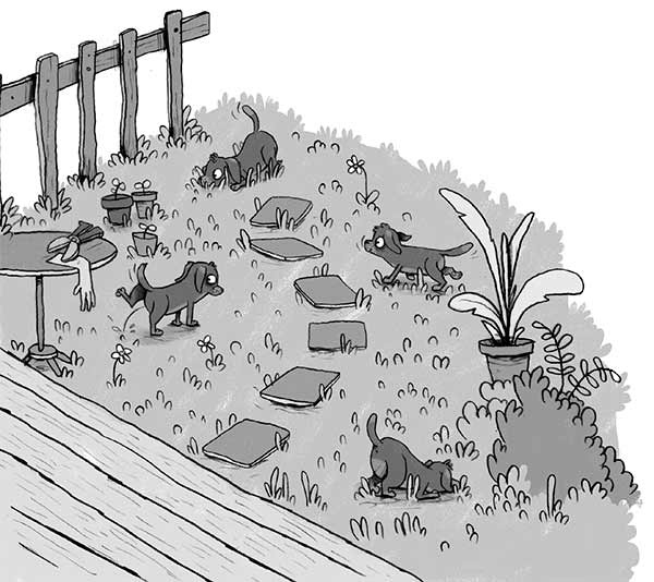 Иллюстрация к книге — Первое дело таксы [i_021.jpg]