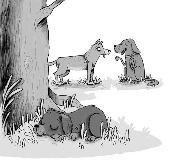 Иллюстрация к книге — Первое дело таксы [i_039.jpg]