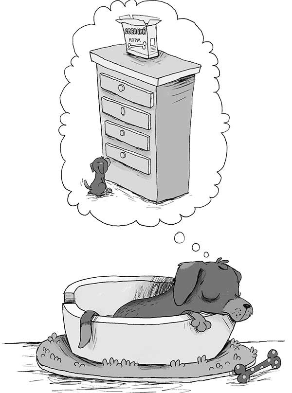 Иллюстрация к книге — Кошачий секрет [i_013.jpg]