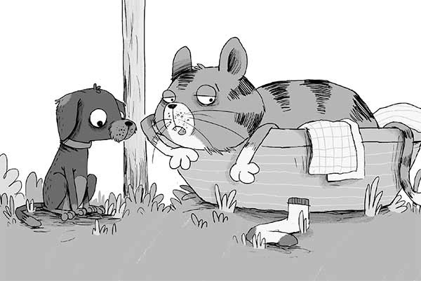 Иллюстрация к книге — Кошачий секрет [i_016.jpg]