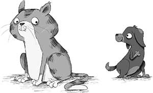 Иллюстрация к книге — Кошачий секрет [i_017.jpg]