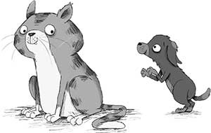 Иллюстрация к книге — Кошачий секрет [i_020.jpg]