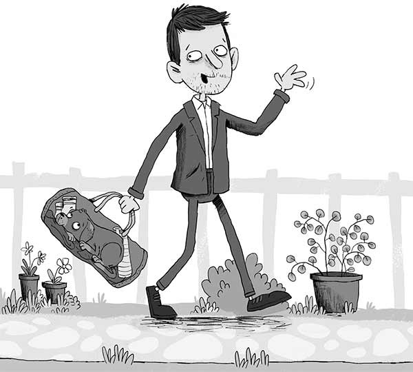 Иллюстрация к книге — Кошачий секрет [i_025.jpg]