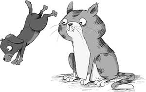 Иллюстрация к книге — Кошачий секрет [i_026.jpg]