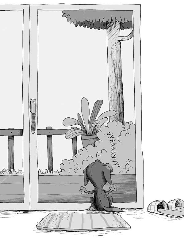 Иллюстрация к книге — Кошачий секрет [i_028.jpg]