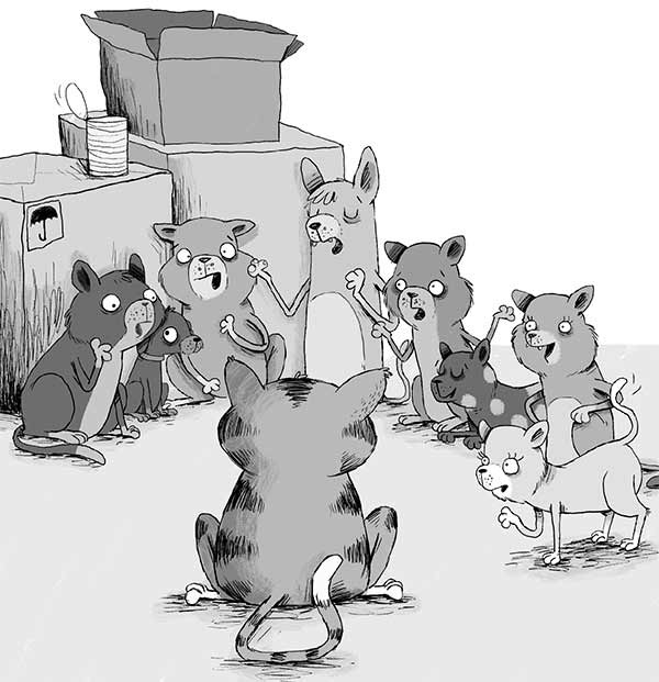 Иллюстрация к книге — Кошачий секрет [i_043.jpg]