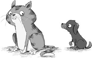 Иллюстрация к книге — Кошачий секрет [i_044.jpg]