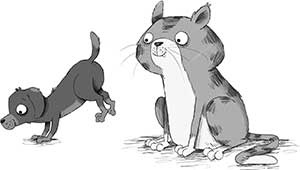 Иллюстрация к книге — Кошачий секрет [i_053.jpg]