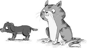 Иллюстрация к книге — Кошачий секрет [i_054.jpg]