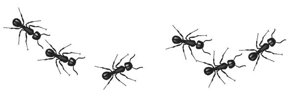 Иллюстрация к книге — Исследователь [i_003.jpg]