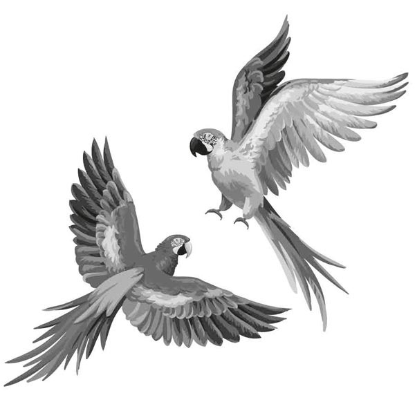 Иллюстрация к книге — Исследователь [i_006.jpg]