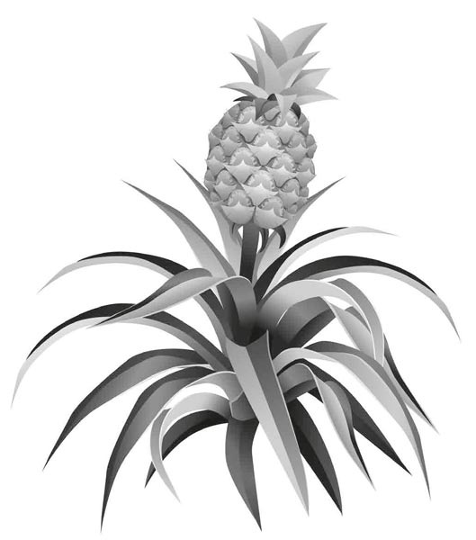 Иллюстрация к книге — Исследователь [i_007.jpg]