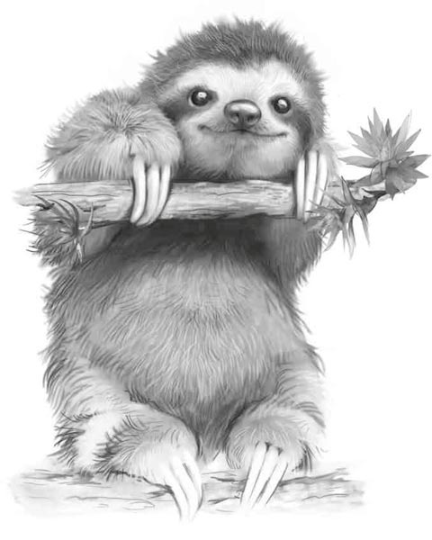 Иллюстрация к книге — Исследователь [i_008.jpg]