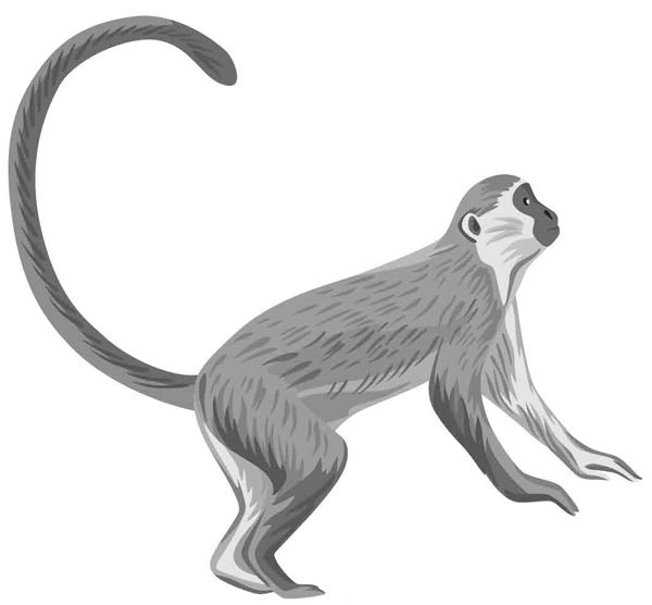 Иллюстрация к книге — Исследователь [i_009.jpg]