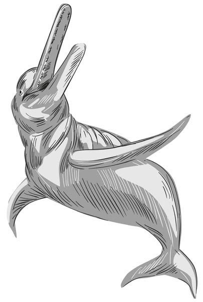 Иллюстрация к книге — Исследователь [i_011.jpg]