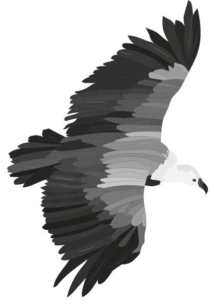 Иллюстрация к книге — Исследователь [i_013.jpg]