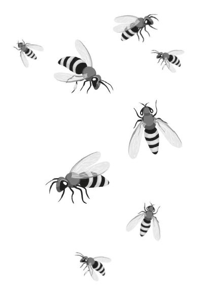 Иллюстрация к книге — Исследователь [i_018.jpg]