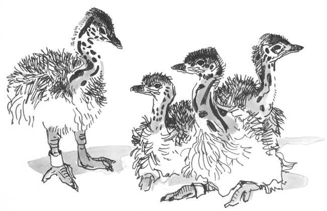 Иллюстрация к книге — Лось на диване, верветка на печи [i_004.jpg]