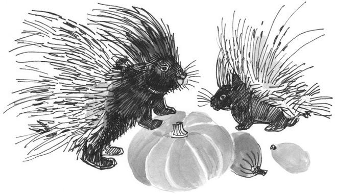 Иллюстрация к книге — Лось на диване, верветка на печи [i_009.jpg]