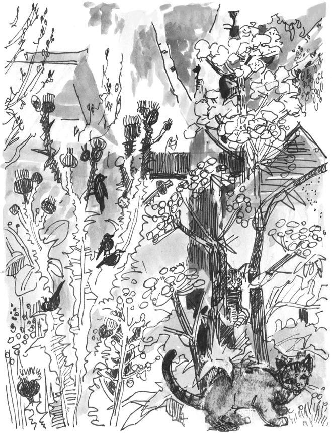 Иллюстрация к книге — Лось на диване, верветка на печи [i_012.jpg]