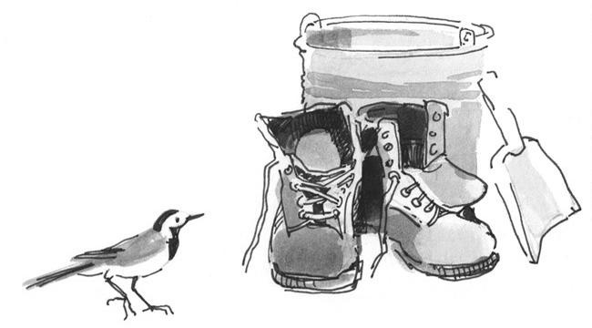 Иллюстрация к книге — Лось на диване, верветка на печи [i_018.jpg]