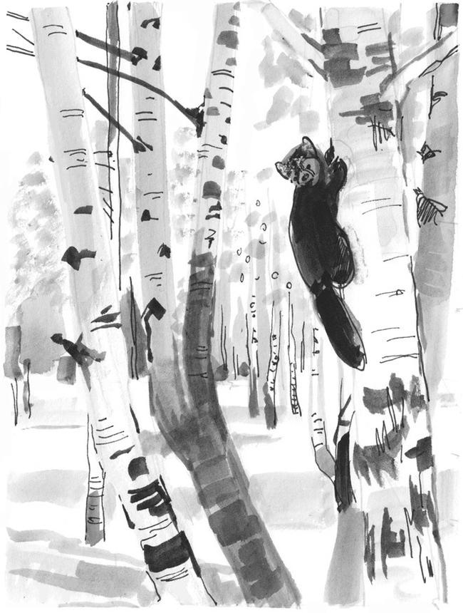 Иллюстрация к книге — Лось на диване, верветка на печи [i_023.jpg]