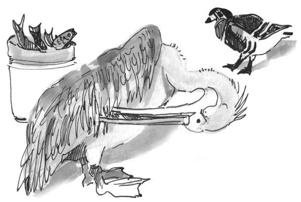 Иллюстрация к книге — Лось на диване, верветка на печи [i_024.jpg]