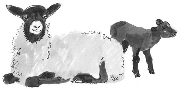 Иллюстрация к книге — Лось на диване, верветка на печи [i_025.jpg]