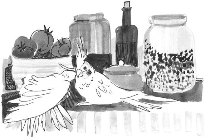 Иллюстрация к книге — Лось на диване, верветка на печи [i_029.jpg]