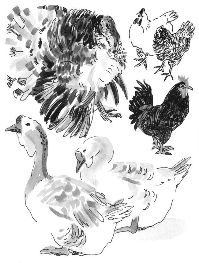 Иллюстрация к книге — Лось на диване, верветка на печи [i_031.jpg]