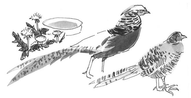 Иллюстрация к книге — Лось на диване, верветка на печи [i_032.jpg]