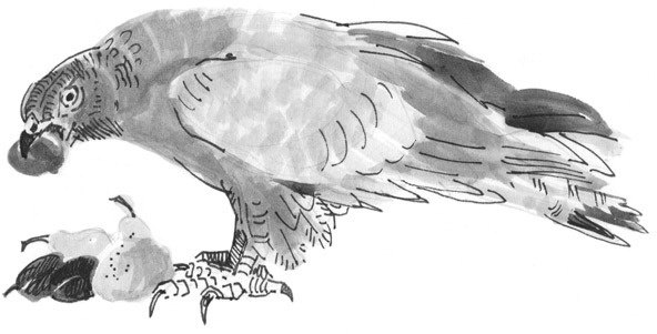 Иллюстрация к книге — Лось на диване, верветка на печи [i_038.jpg]